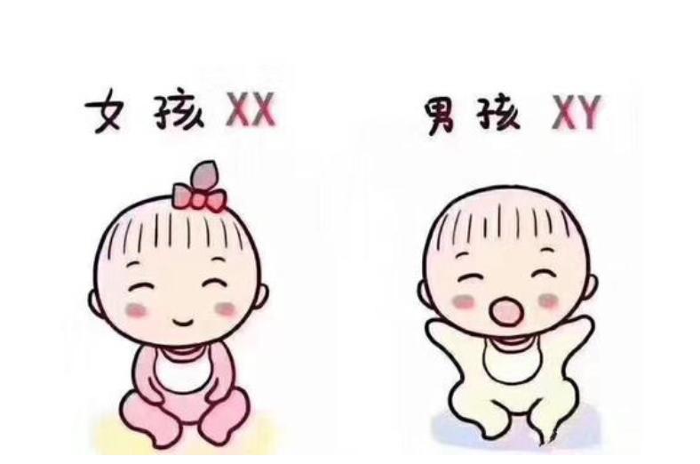 五指山助孕蔡上词309584q