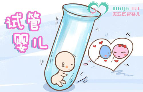 不孕草药