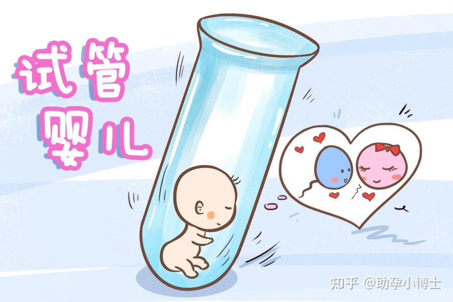 代孕试管