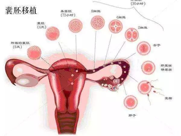 产后月子护理