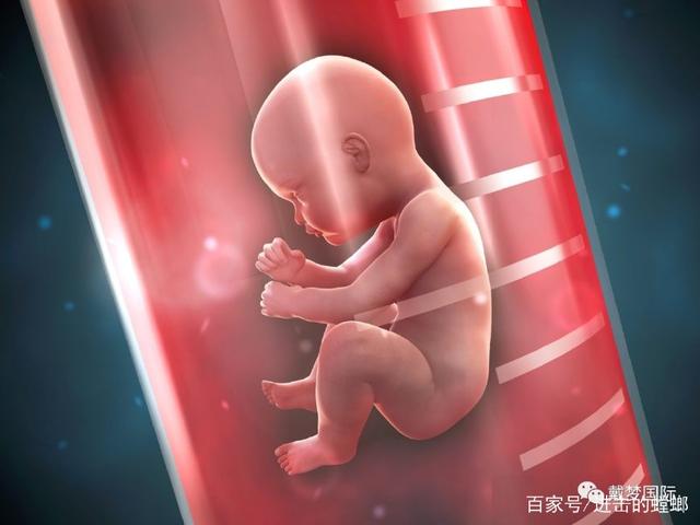 试管婴儿