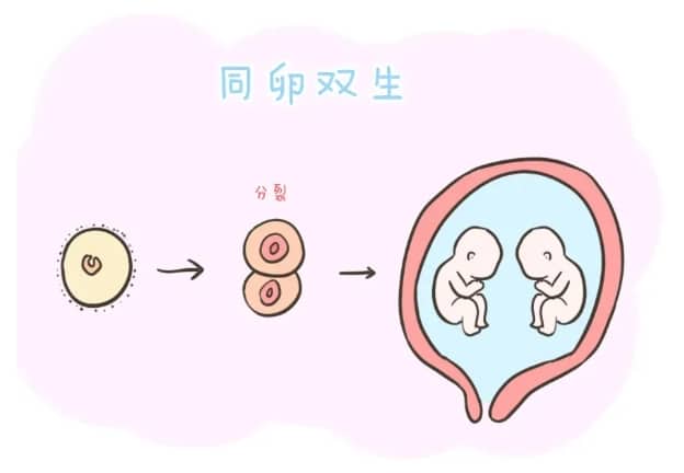 科学生男生女